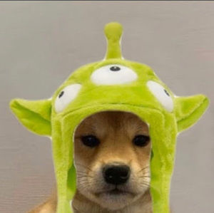 Meet your Posher, Shane